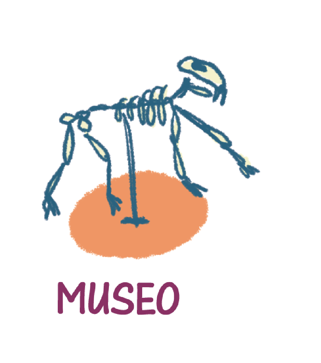 museo