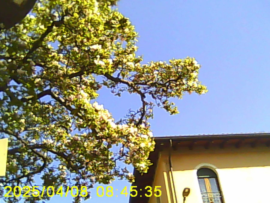 Gallery image 15